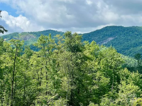 667 Laurel Thicket Lane Brevard NC 28712