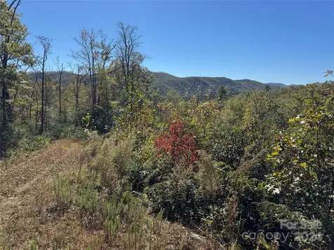 667 Laurel Thicket Lane Brevard NC 28712