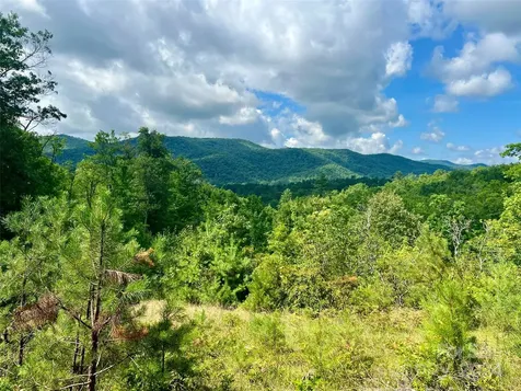 667 Laurel Thicket Lane Brevard NC 28712