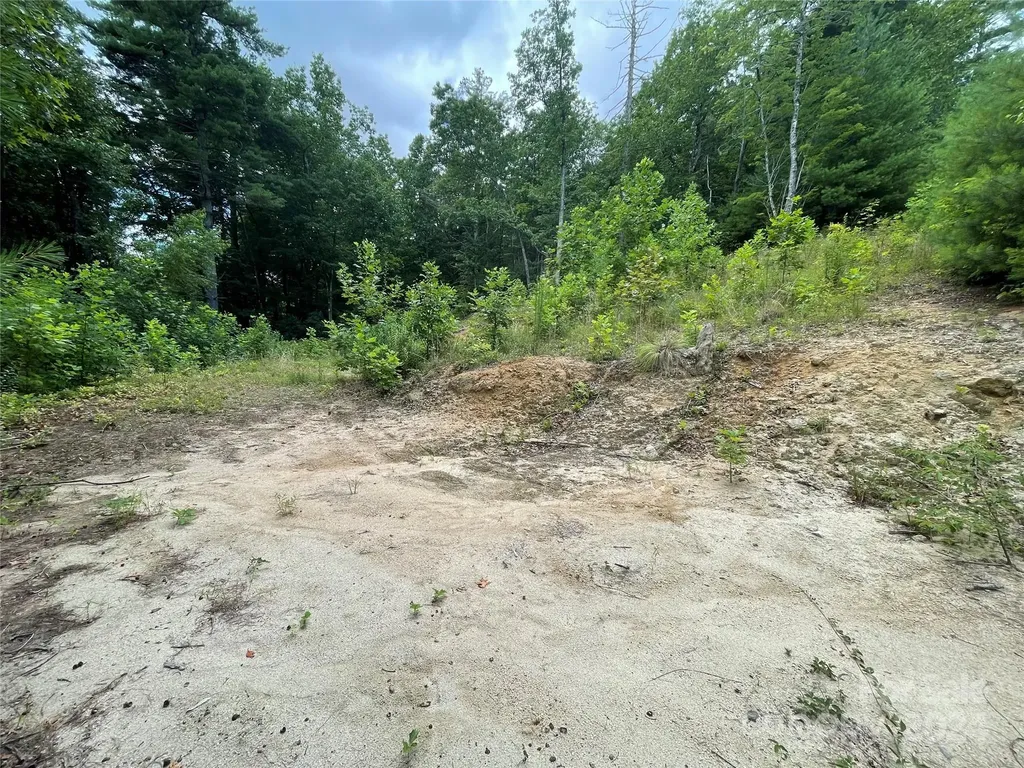 00 Willow Run Lane Zirconia NC 28790