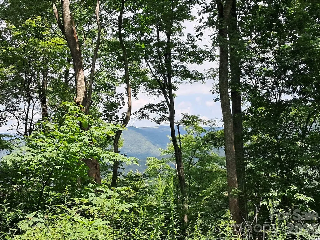 00 Hurricane Ridge Trace Clyde NC 28721