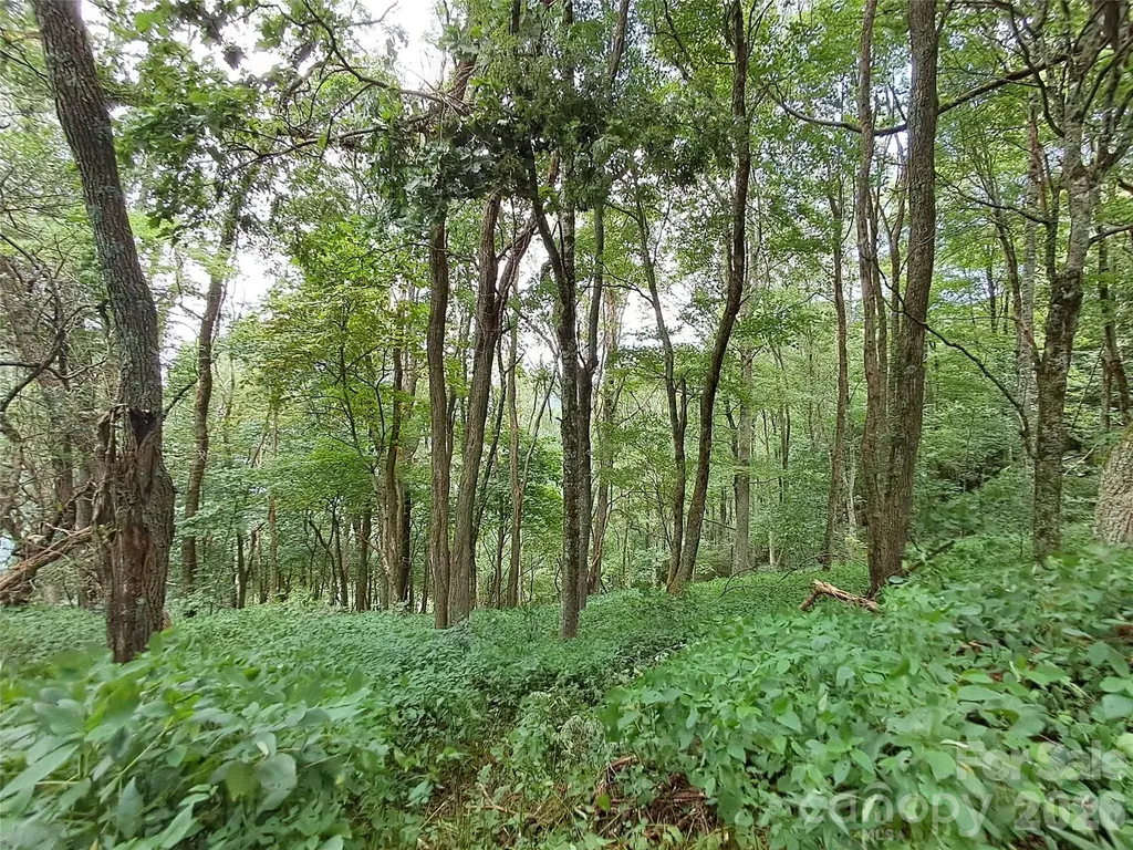 00 Hurricane Ridge Trace Clyde NC 28721