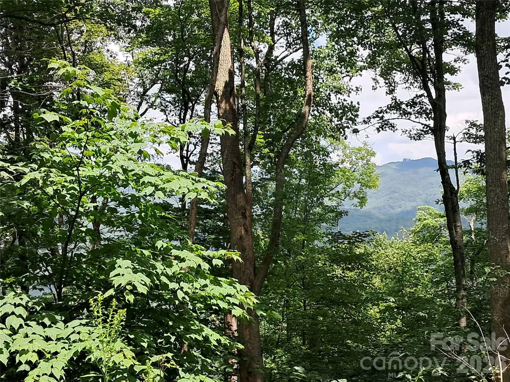 00 Hurricane Ridge Trace Clyde NC 28721