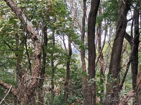 00 Hurricane Ridge Trace Clyde NC 28721