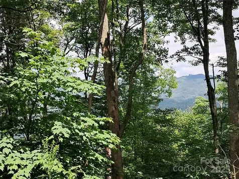 00 Hurricane Ridge Trace Clyde NC 28721