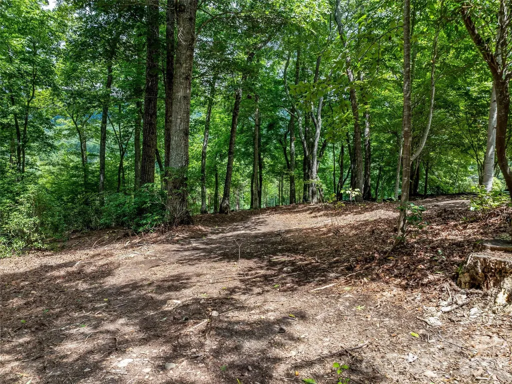 1822 Bella Vista Court Arden NC 28704