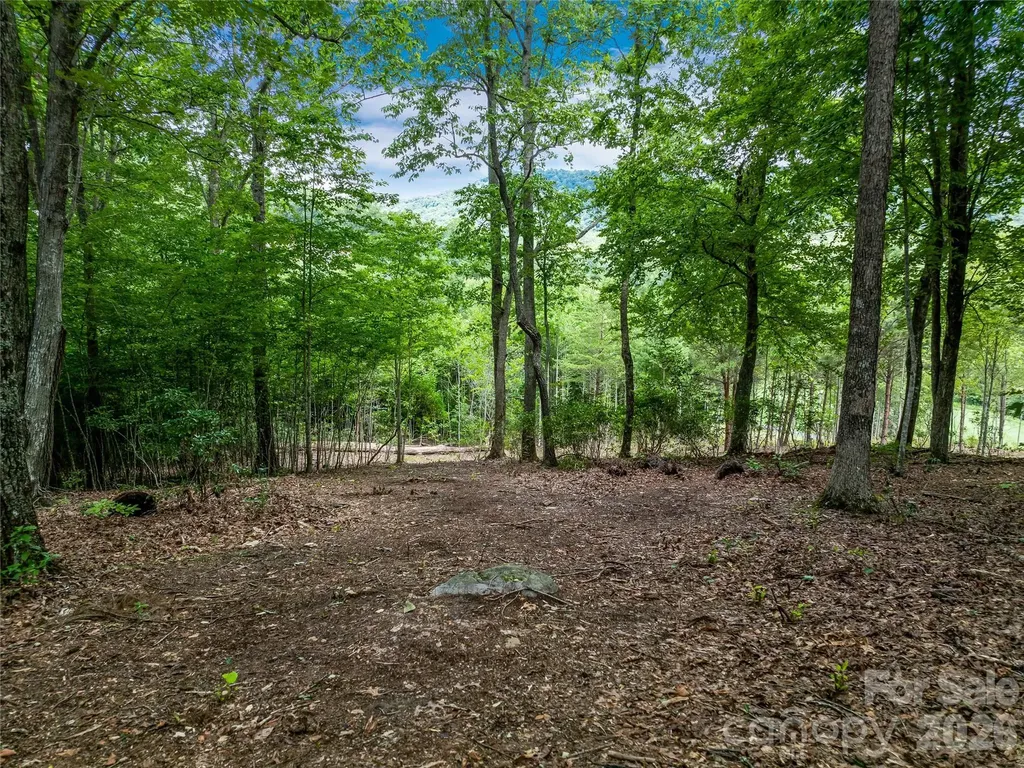1822 Bella Vista Court Arden NC 28704