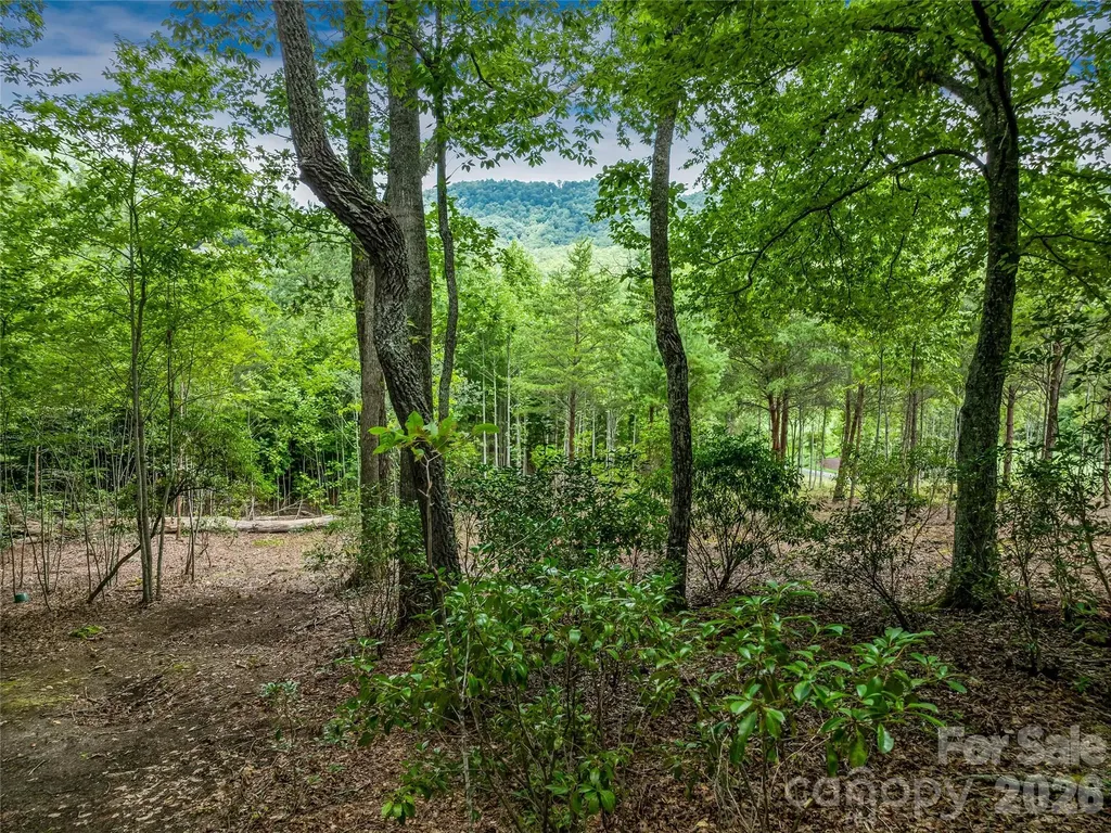 1822 Bella Vista Court Arden NC 28704