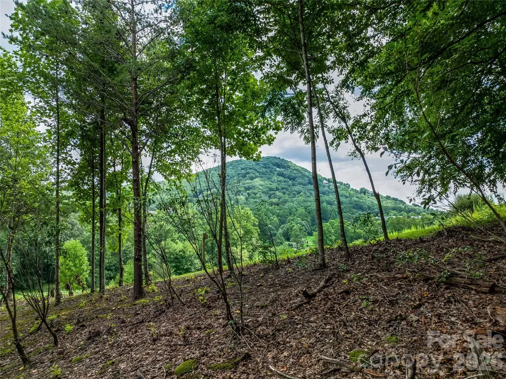 1822 Bella Vista Court Arden NC 28704