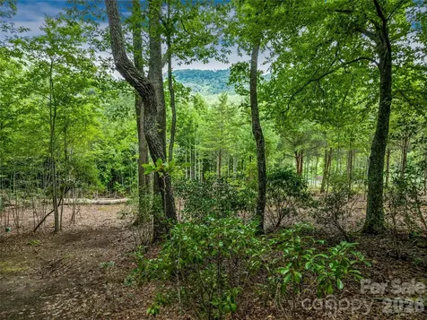 1822 Bella Vista Court Arden NC 28704