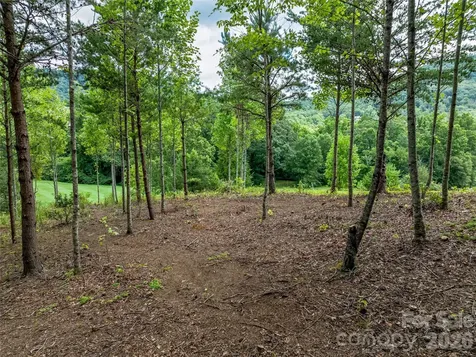 1822 Bella Vista Court Arden NC 28704