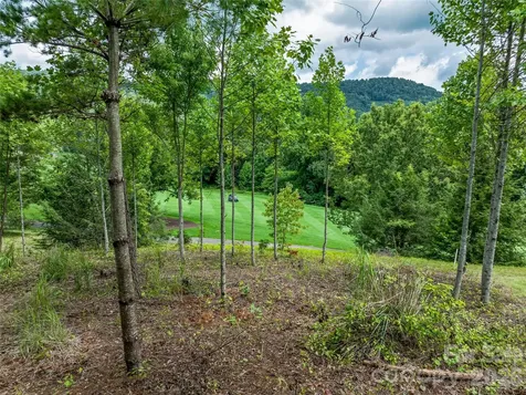 1822 Bella Vista Court Arden NC 28704