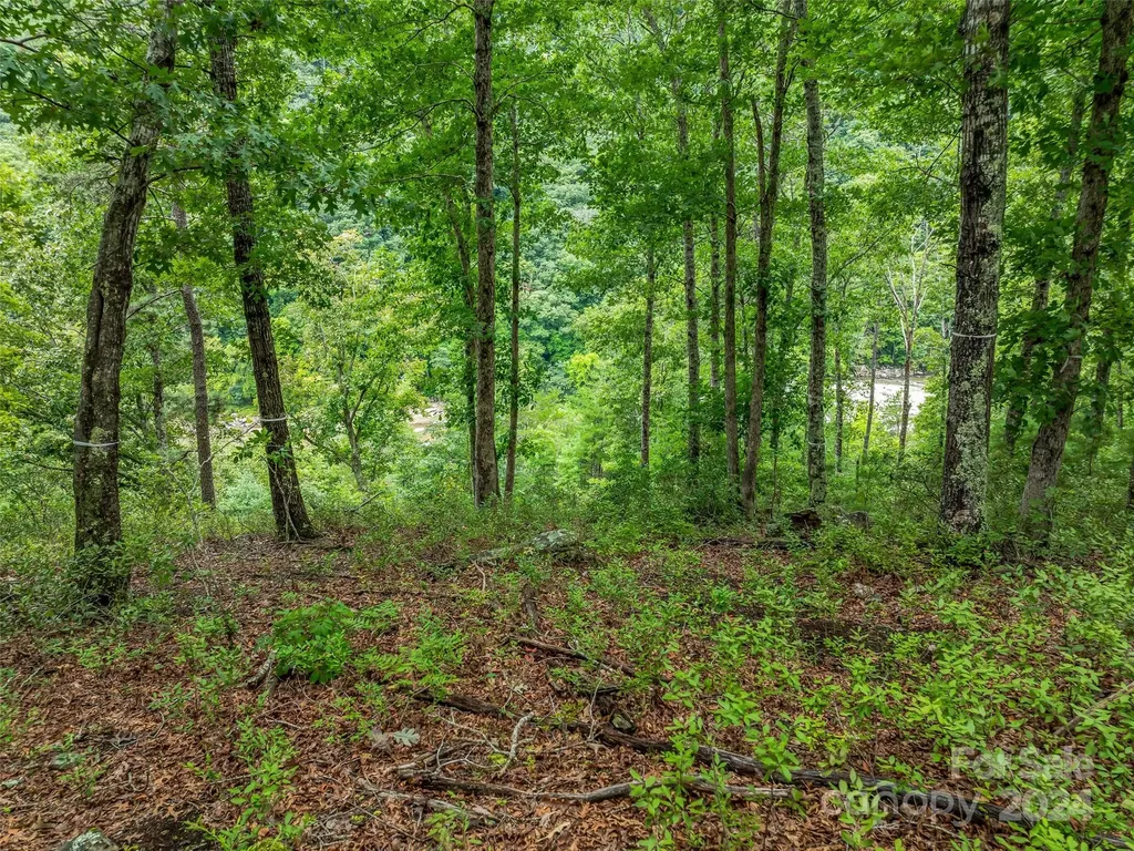 4155 French Broad Parkway Marshall NC 28753