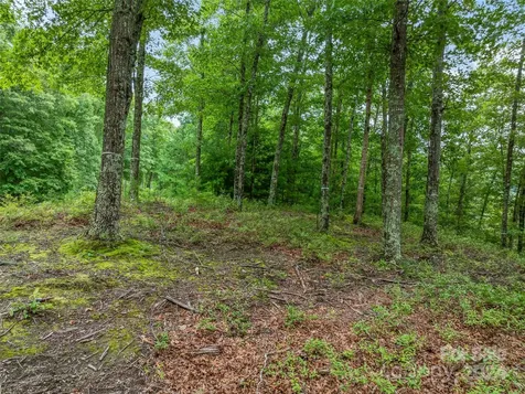 4155 French Broad Parkway Marshall NC 28753