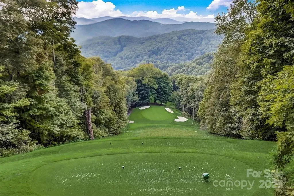 73 Oak Ridge Court Mars Hill NC 28754