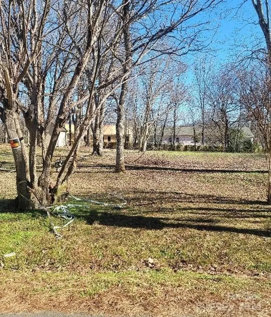 Lot 9 Meridian Street Cornelius NC 28031