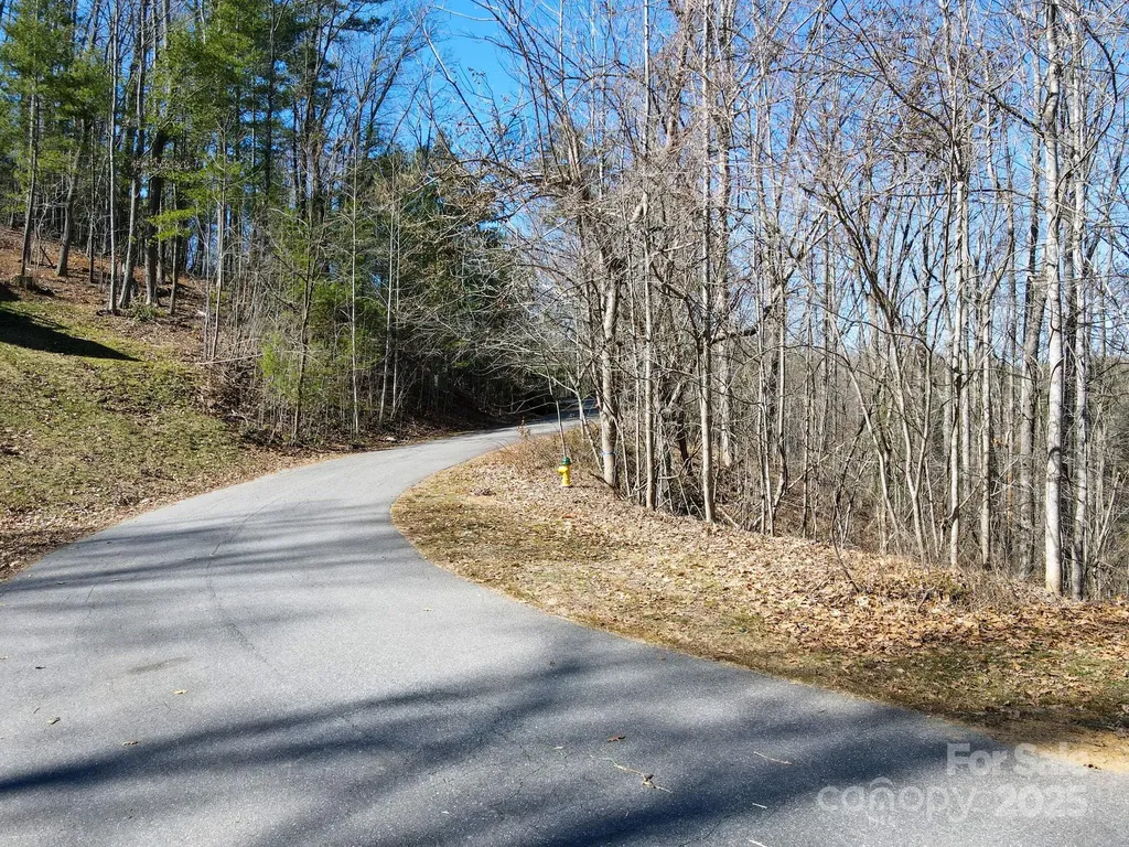 31 Forest Spring Drive Asheville NC 28804