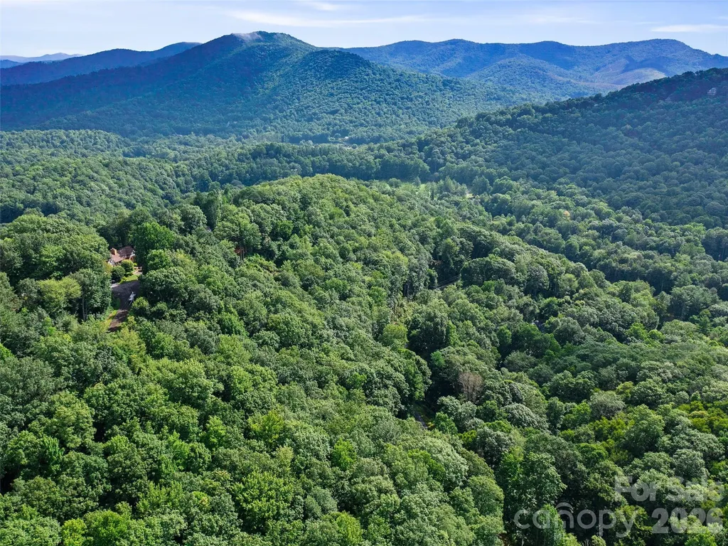 000 Falling Water Drive Burnsville NC 28714