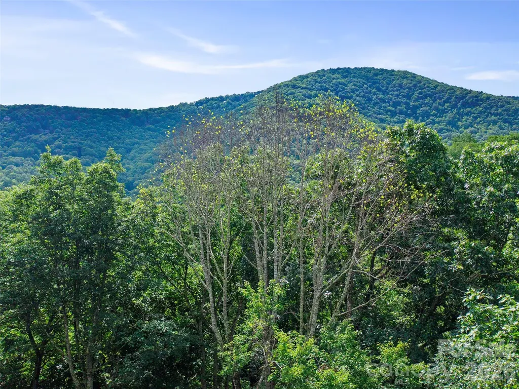 000 Falling Water Drive Burnsville NC 28714