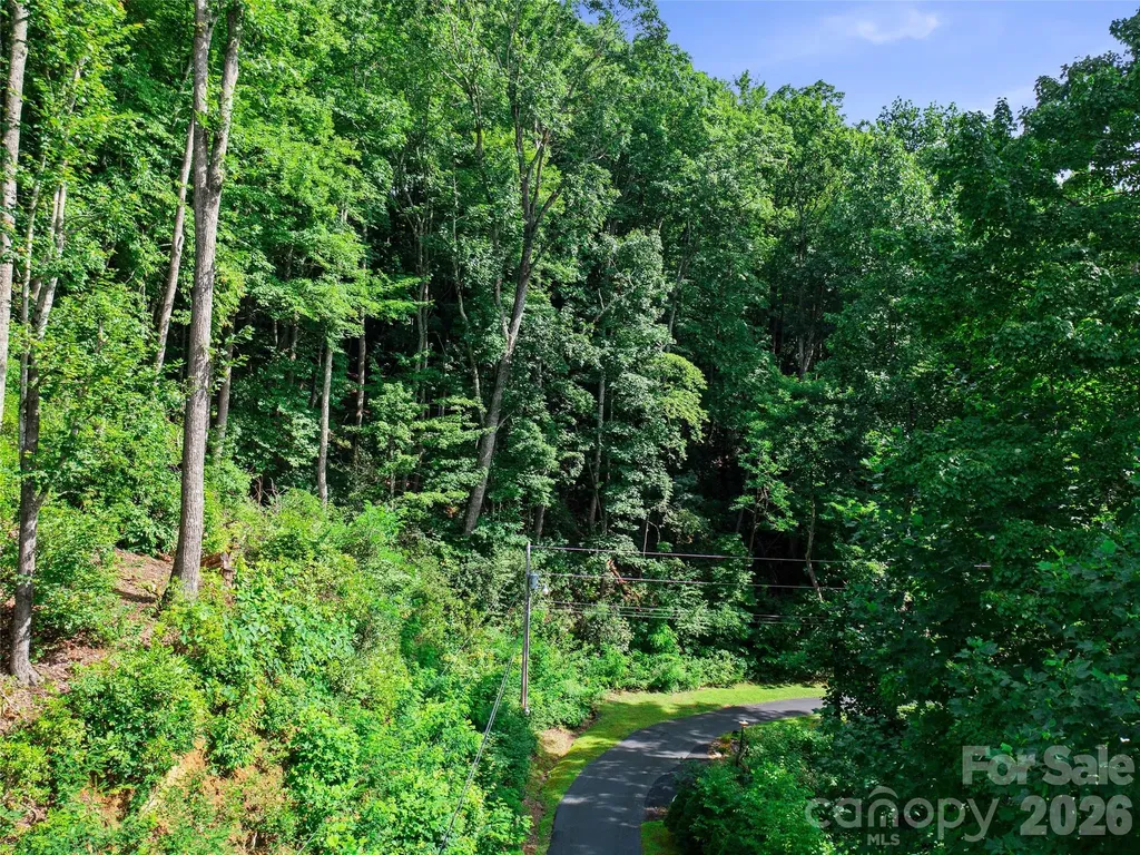 000 Falling Water Drive Burnsville NC 28714