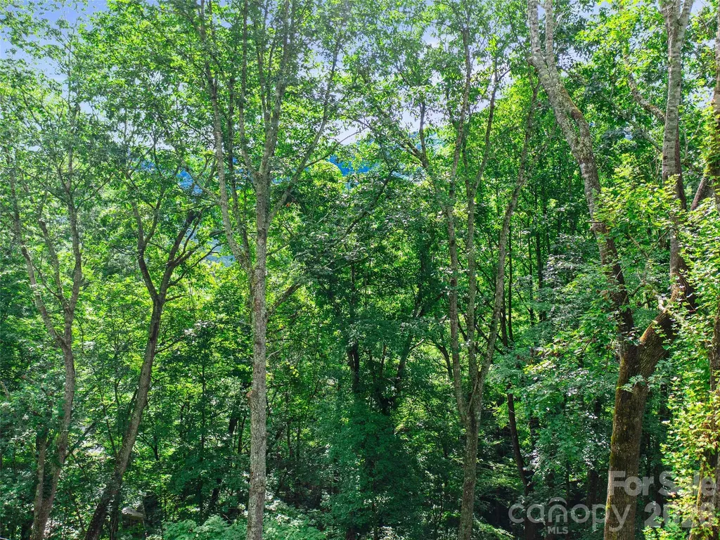 000 Falling Water Drive Burnsville NC 28714