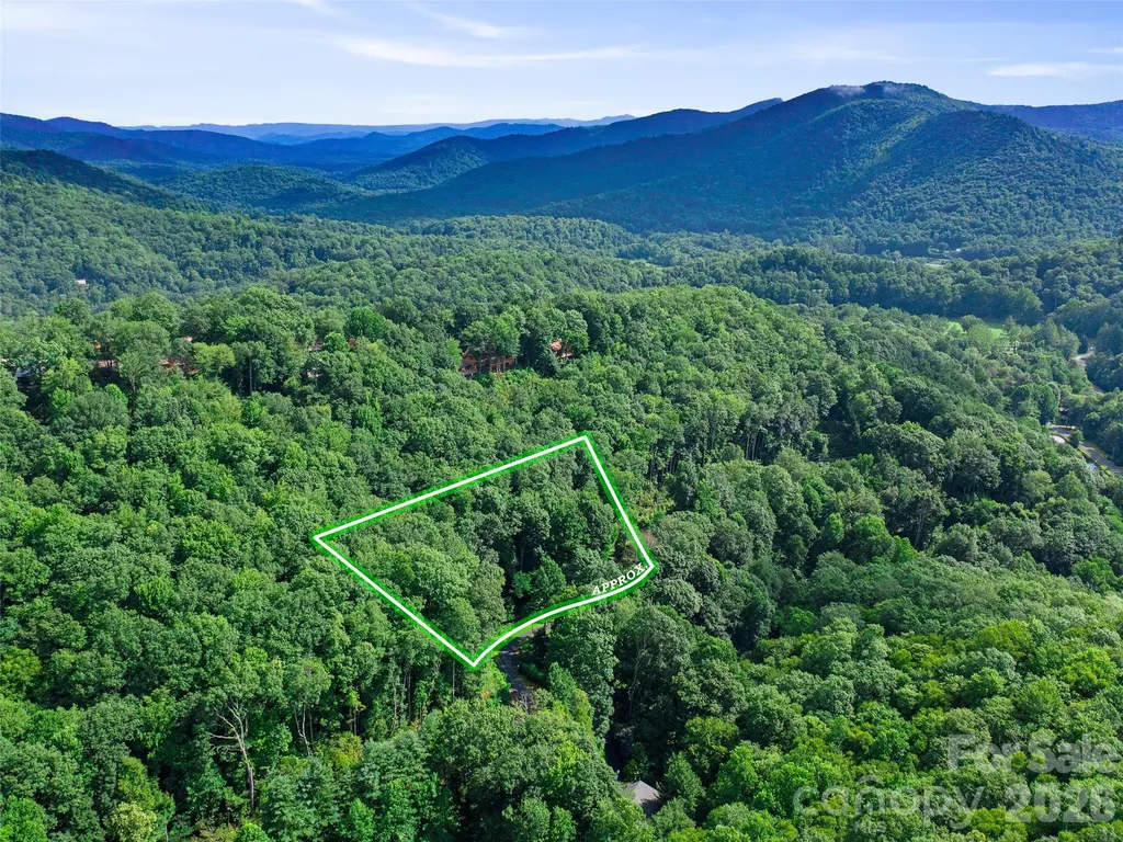 000 Falling Water Drive Burnsville NC 28714