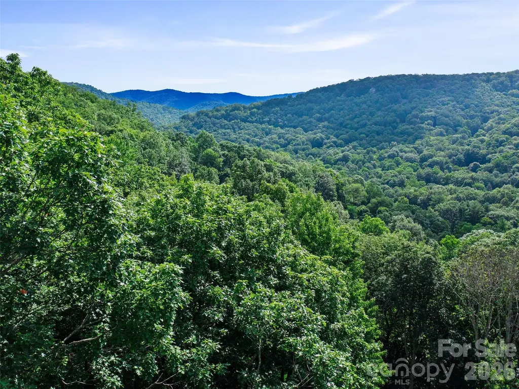 000 Falling Water Drive Burnsville NC 28714