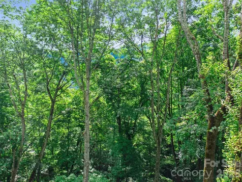000 Falling Water Drive Burnsville NC 28714