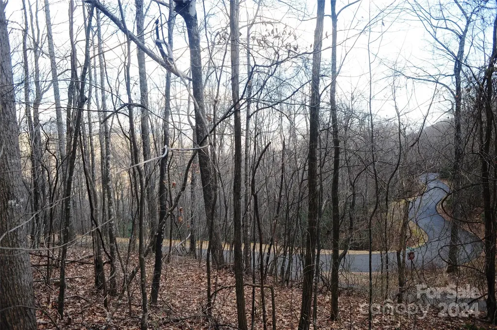54 Great Aspen Way Black Mountain NC 28711