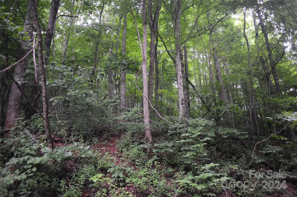 54 Great Aspen Way Black Mountain NC 28711