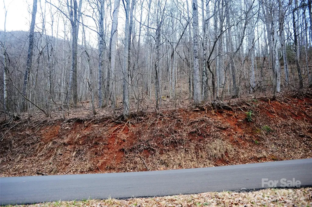 54 Great Aspen Way Black Mountain NC 28711