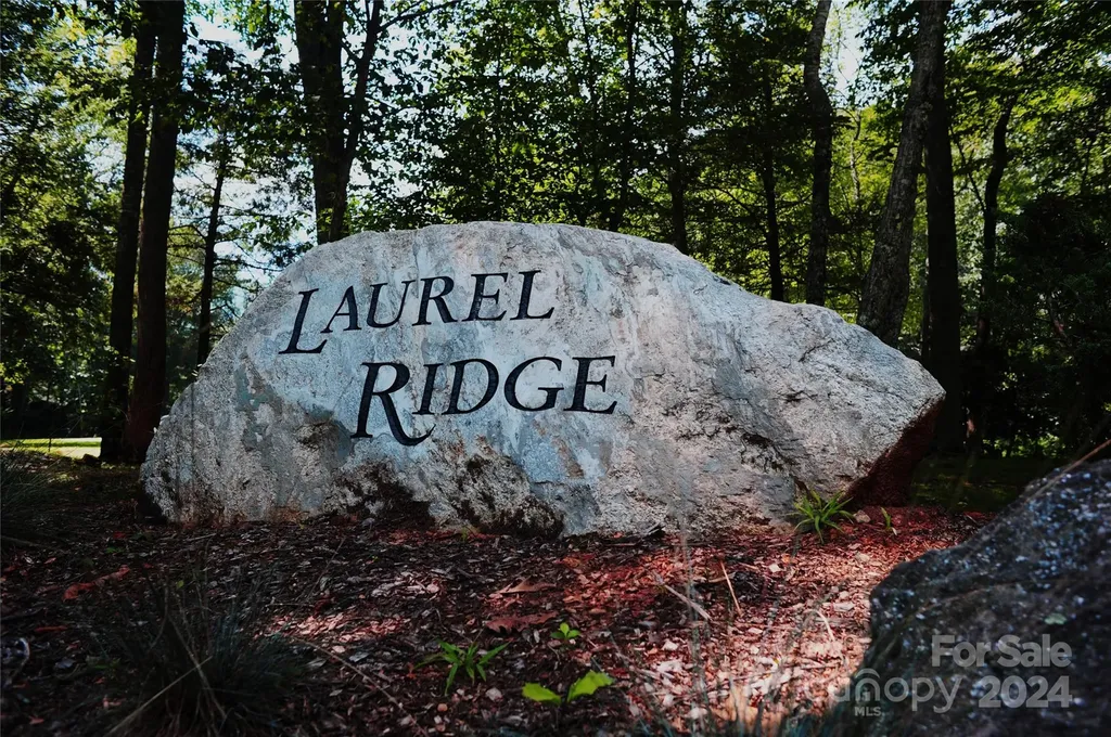 54 Great Aspen Way Black Mountain NC 28711