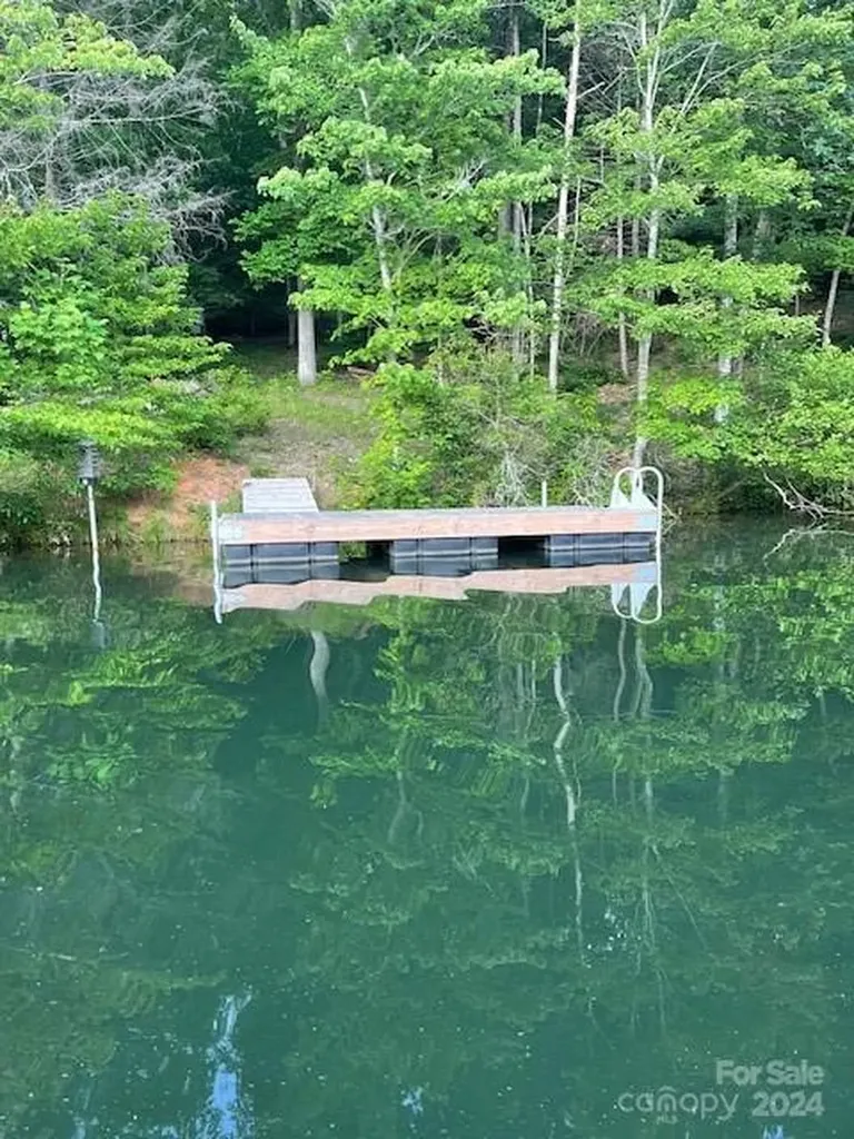 1733 Buffalo Creek Road Lake Lure NC 28746