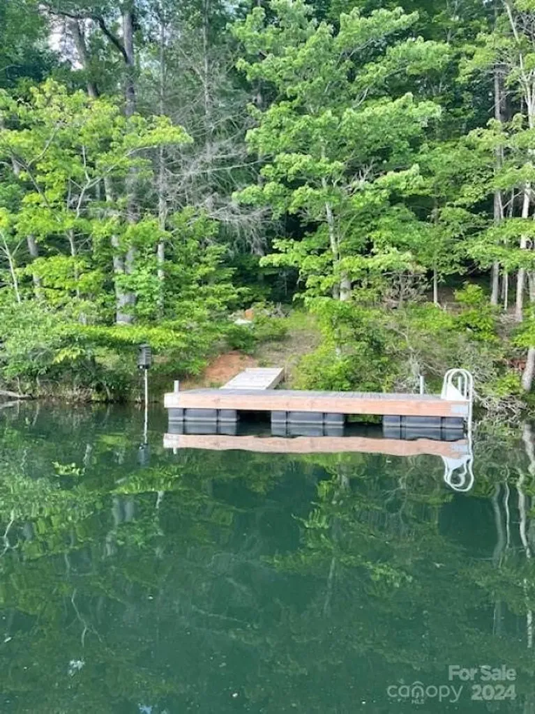 1733 Buffalo Creek Road Lake Lure NC 28746