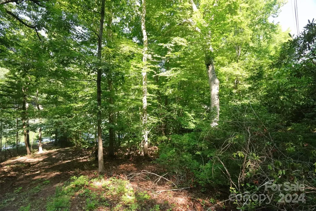 1733 Buffalo Creek Road Lake Lure NC 28746