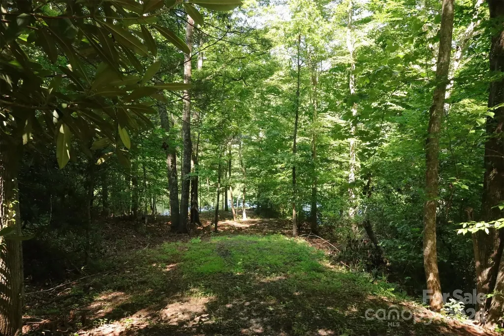 1733 Buffalo Creek Road Lake Lure NC 28746