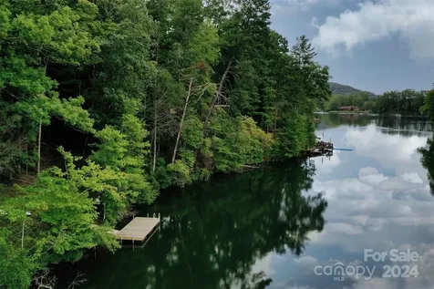 1733 Buffalo Creek Road Lake Lure NC 28746
