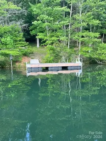 1733 Buffalo Creek Road Lake Lure NC 28746