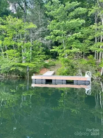 1733 Buffalo Creek Road Lake Lure NC 28746