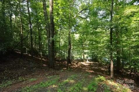 1733 Buffalo Creek Road Lake Lure NC 28746