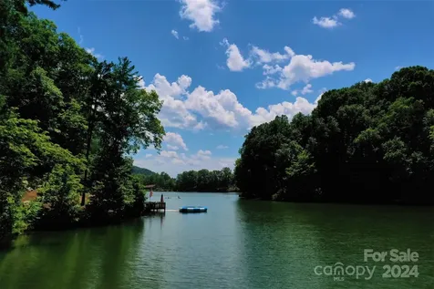 1733 Buffalo Creek Road Lake Lure NC 28746