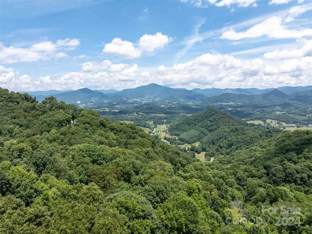 00 Hardy Branch Trail Waynesville NC 28785