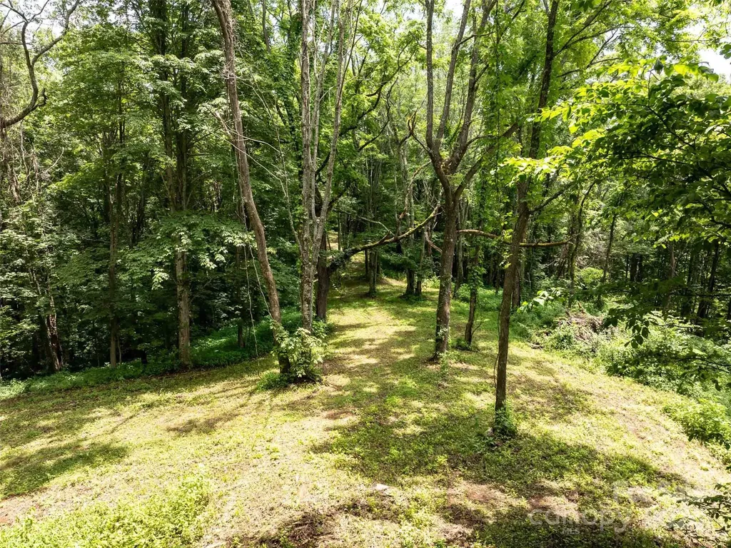 00 Hardy Branch Trail Waynesville NC 28785