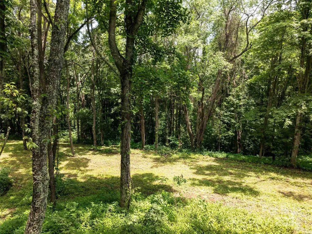 00 Hardy Branch Trail Waynesville NC 28785