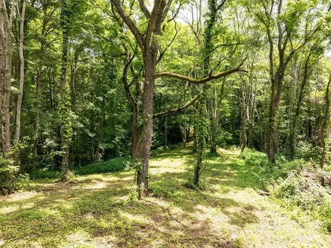 00 Hardy Branch Trail Waynesville NC 28785