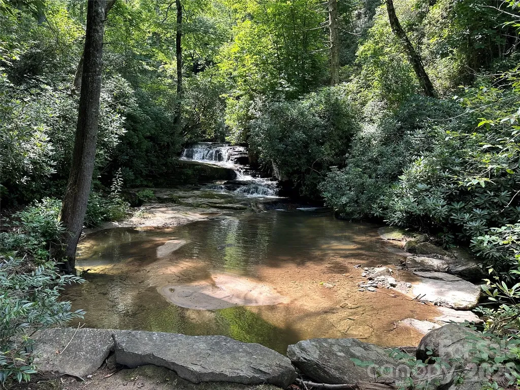 67 Peppervine Circle Rosman NC 28772