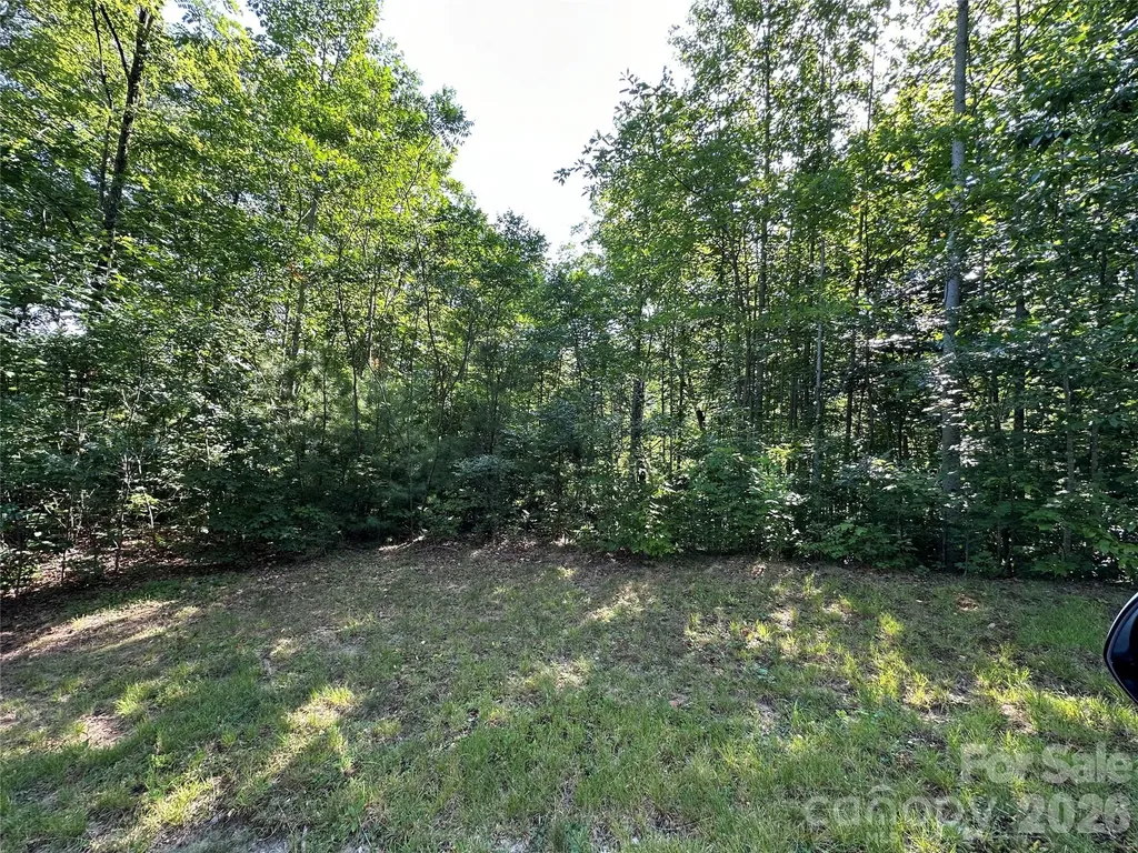 67 Peppervine Circle Rosman NC 28772
