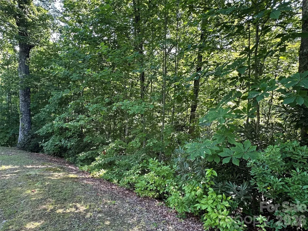 67 Peppervine Circle Rosman NC 28772