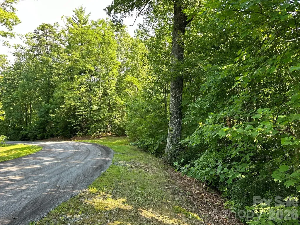 67 Peppervine Circle Rosman NC 28772