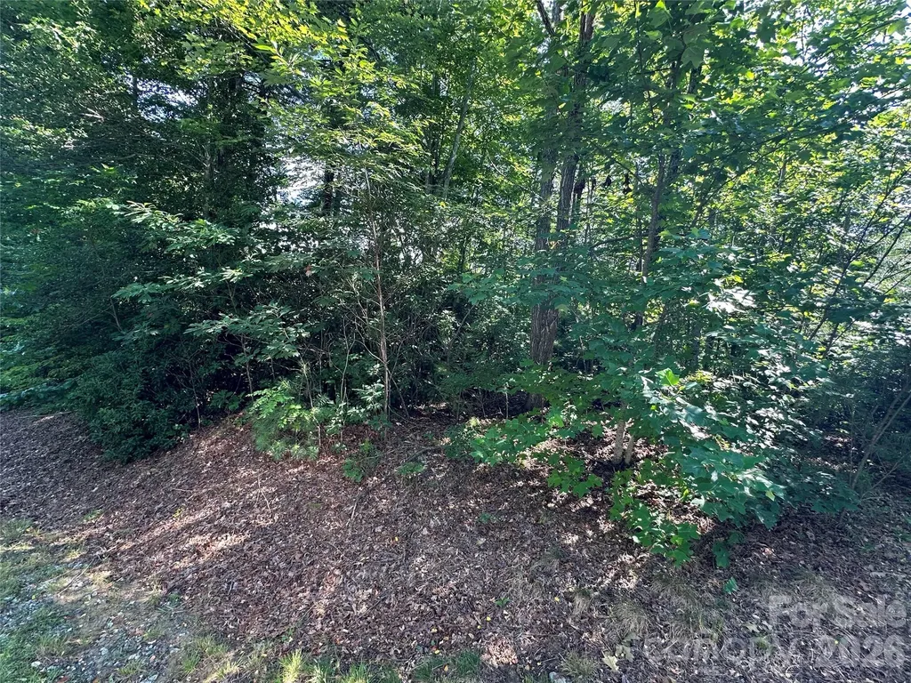 67 Peppervine Circle Rosman NC 28772